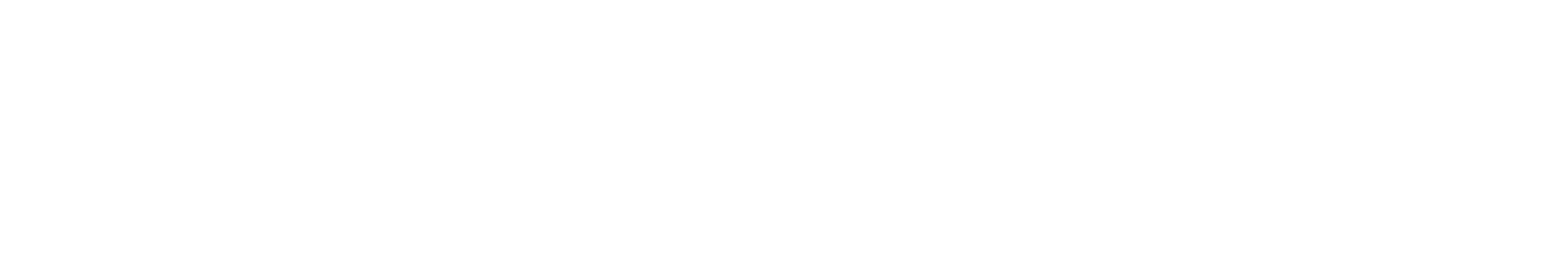 Guardian Eye Project